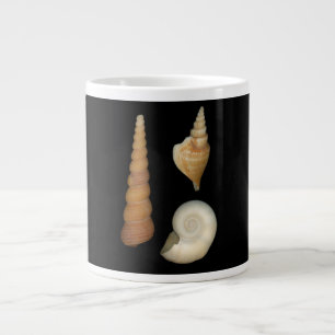 Grande Tasse Coquilles - Conchologie - Coquillages