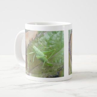 Grande Tasse Cricket vert sur une boule de feuilles