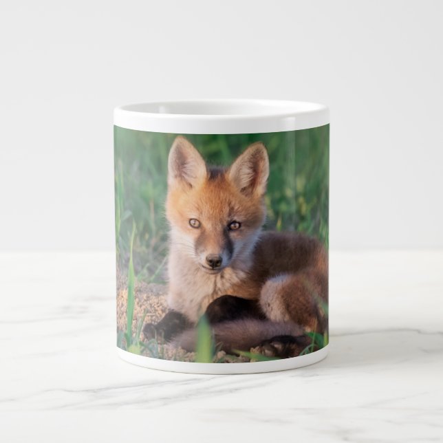 Grande Tasse Cutest Baby Animals | Red Fox Kit Relaxing (Devant)
