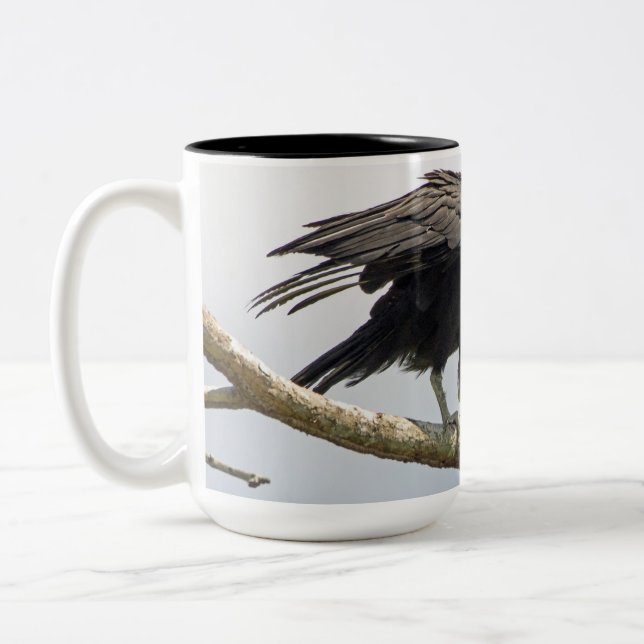 Grande tasse de vautour moine (Gauche)
