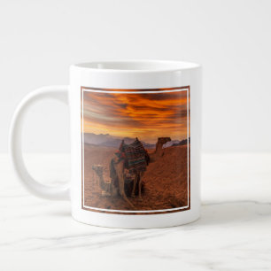 Grande Tasse Deserts   Bactrian Camel Egypt Sand Dune