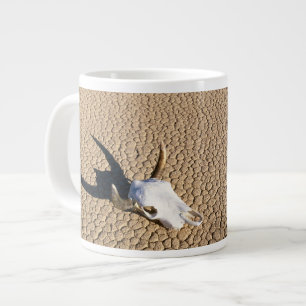 Grande Tasse Deserts Cow Skull on the Desert Ground
