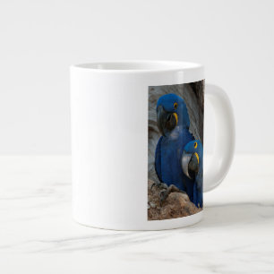 Grande Tasse Deux aras hyacinthes, Brésil