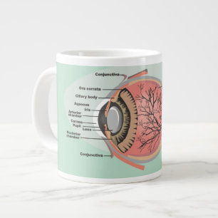 Grande Tasse Diagramme des yeux pour le Mois national des soins