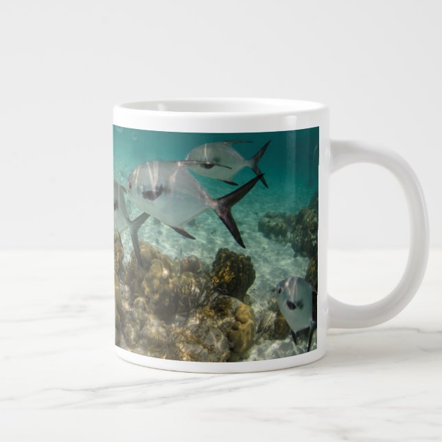 Grande Tasse École de poissons permis (Droite)