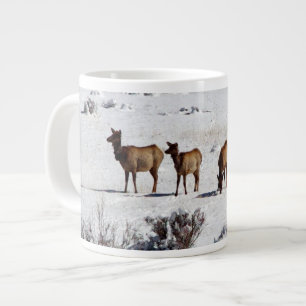 Grande Tasse Elk dans la muqueuse de neige