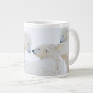 Grande Tasse États-Unis, Alaska, plaine côtière de l'Arctique 1