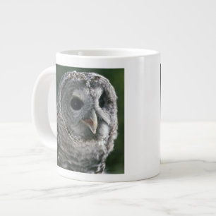 Grande Tasse États-Unis, État de Washington. Chouette rayée (St