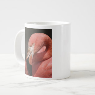 Grande Tasse Flamant du Chili, Phoenicopterus chilensis