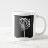Fleurs | B&W Allium Flower Bud