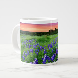 Grande Tasse Fleurs   Bluebonnets à Sunset Texas
