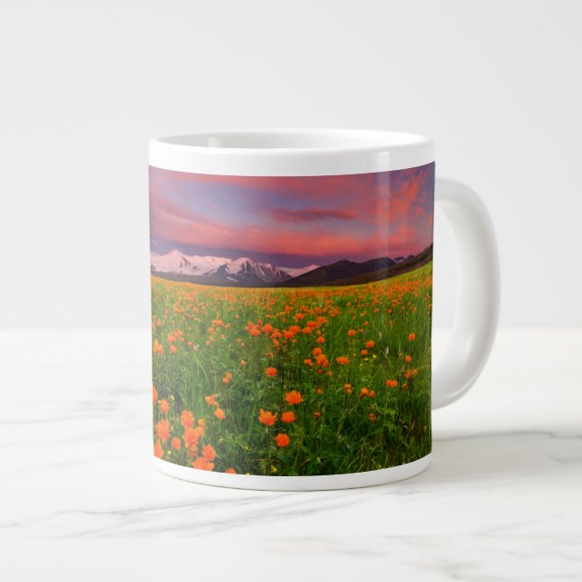 Grande Tasse Flowers (homonymie) | Fayot Field Snowcapped Mount (Devant droit)