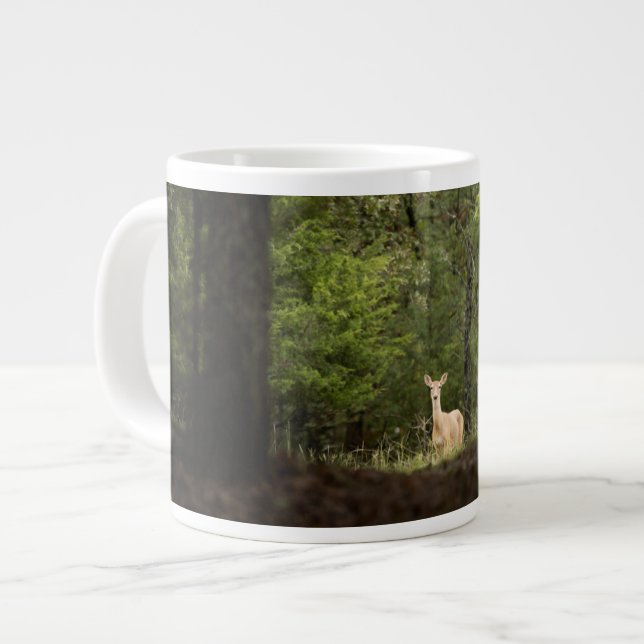Grande Tasse Forest | A White Tailed Deer in the Woods (Devant gauche)