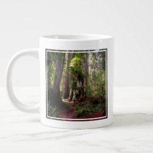 Grande Tasse Forest   Séquwood Forest California