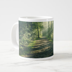 Grande Tasse Forêt Chemin forestier Hambourg Allemagne