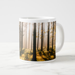 Grande Tasse Forêt d'automne avec rayons solaires