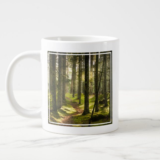 Grande Tasse Forêt | Forêt boréale Suède (Gauche)