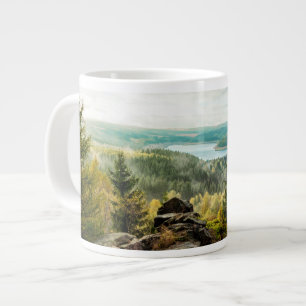 Grande Tasse Forêt   Ore Mountains Allemagne