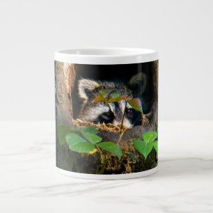 Grande Tasse Forêt   Raccoon Peeking