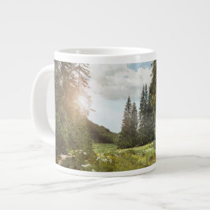 Grande Tasse Forêt   Sun Peeking Thru
