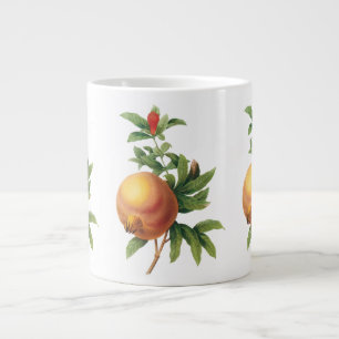 Grande Tasse Fruit alimentaire vintage, grenade de Redoute