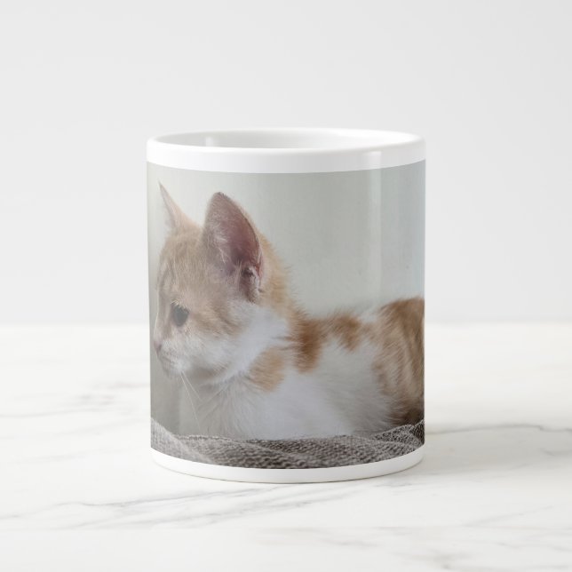 Grande Tasse Ginger and White Kitten (Devant)