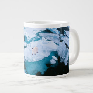 Grande Tasse Glace et neige   Ours polaire, Océan Arctique, Sva