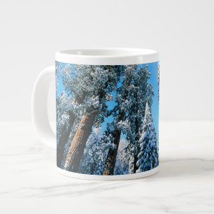 Grande Tasse Glace et neige   Parc national de Sequoia, Califor