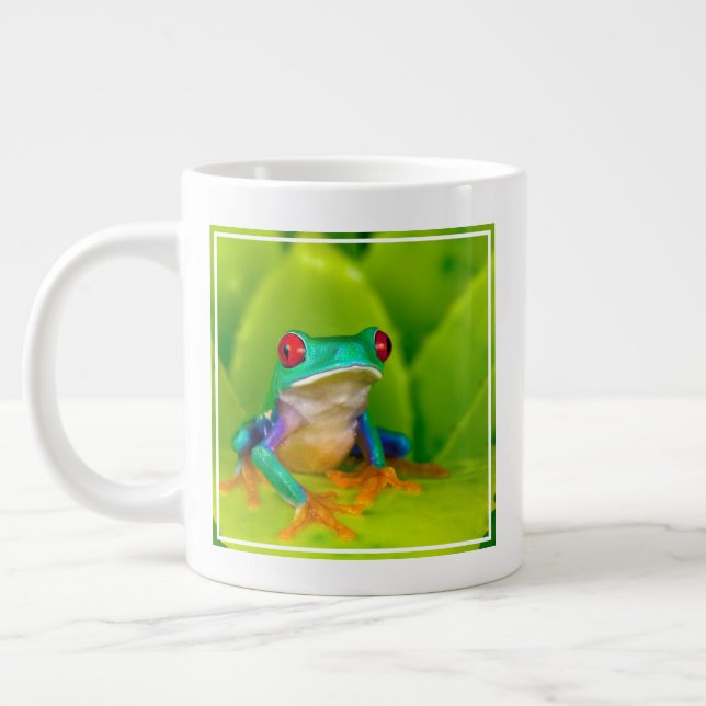 Grande Tasse Grenouille aux yeux rouges, Costa Rica (Gauche)