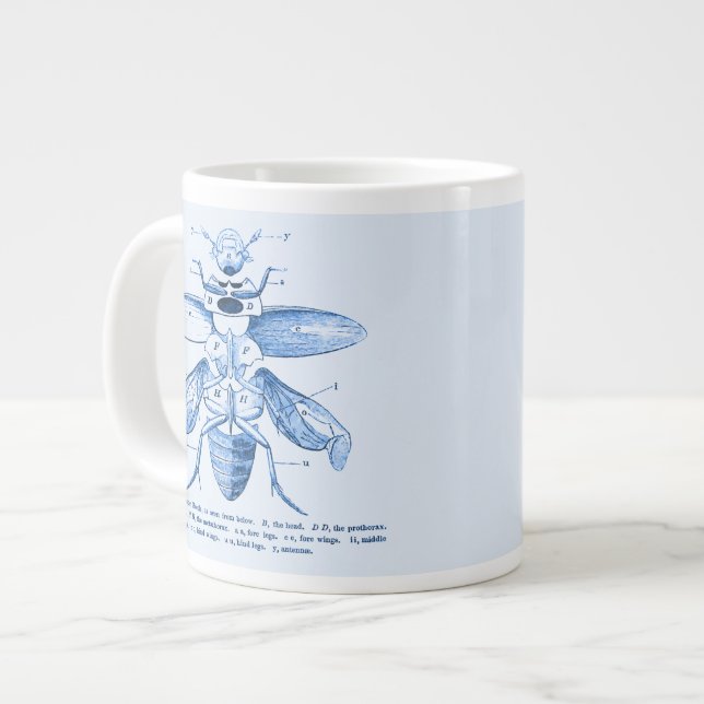 Grande Tasse Image Insecte Vintage| Les coléoptères| Bleu (Devant gauche)