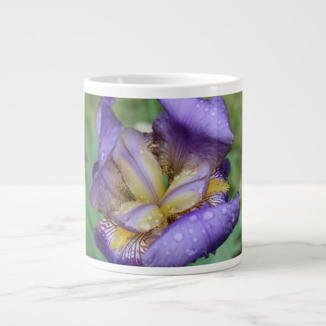 Grande Tasse Iris Violet (Iris Germanica) (Devant)