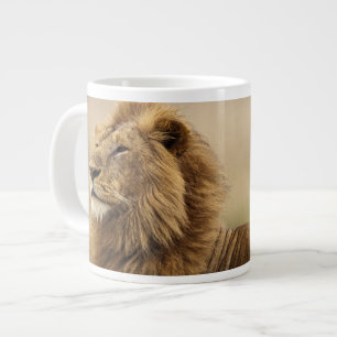 Grande Tasse Kenya, Masai Mara   Lion mâle