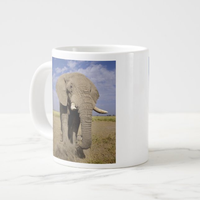 Grande Tasse Kenya : Parc national d'Amboseli, éléphant mâle (Devant gauche)