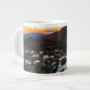 Grande Tasse La floraison du Rhododendron  Parc national de Tar