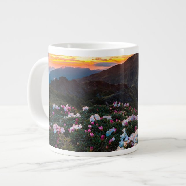 Grande Tasse La floraison du Rhododendron| Parc national de Tar (Devant gauche)