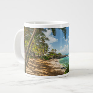 Grande Tasse La plage de Kuau Cove   Maui, Hawaii