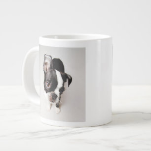 Grande Tasse Le chiot d'Edison Boston Terrier.