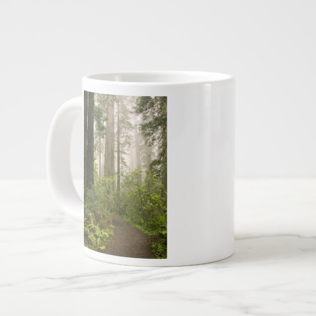 Grande Tasse Le Rhododendron fleuri parmi les séquoias de la cô (Devant gauche)