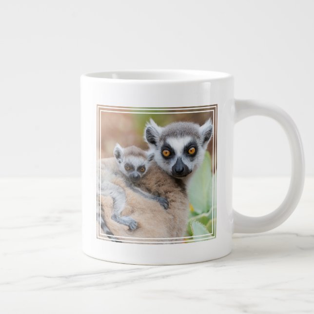 Grande Tasse Lémurien à queue annelée bébé sur le dos de sa mèr (Droite)