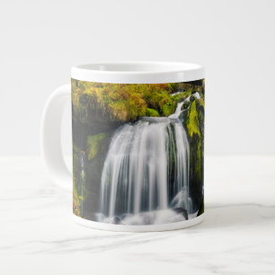 Grande Tasse Les cascades   Cascades de Triberg, Allemagne