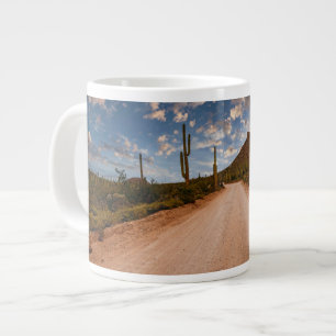 Grande Tasse Les déserts Parc national du Saguaro Arizona