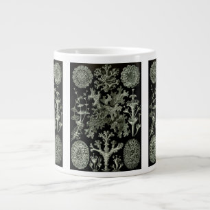 Grande Tasse Lichen par Ernst Haeckel, Plantes de la nature vin