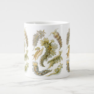 Grande Tasse Limaces de mer par Ernst Haeckel, Nudibranchia vin