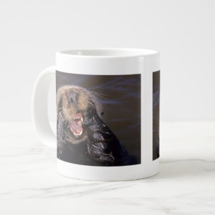 Grande Tasse Loutres de mer, Enhydra lutris 6