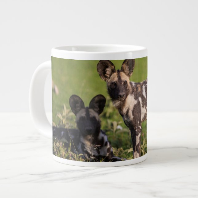 Grande Tasse Lycaons en Tanzanie (Devant gauche)