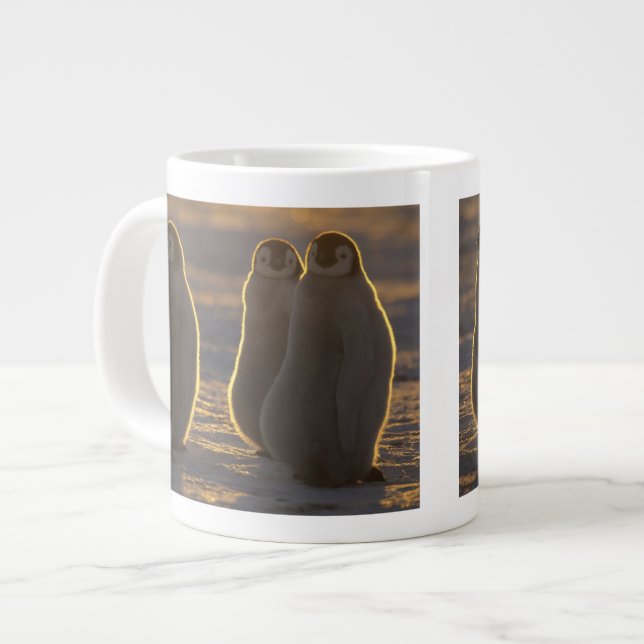 Grande Tasse Manchots empereurs (Devant gauche)