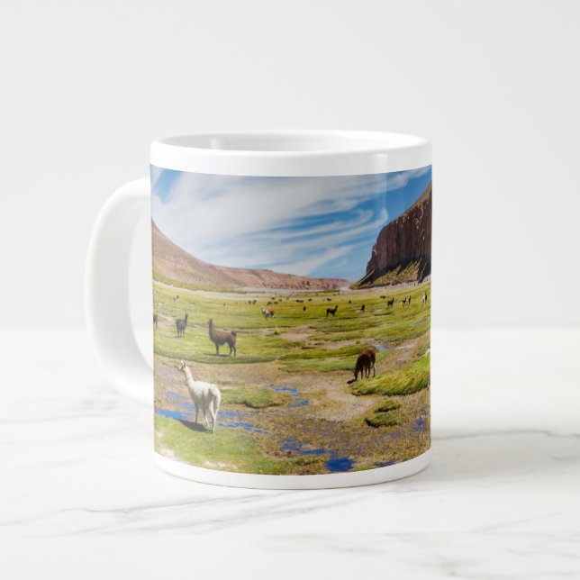 Grande Tasse Montagnes | Andes boliviennes (Devant gauche)