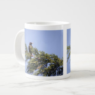 Grande Tasse Moucherolle dans une boue d'épinette