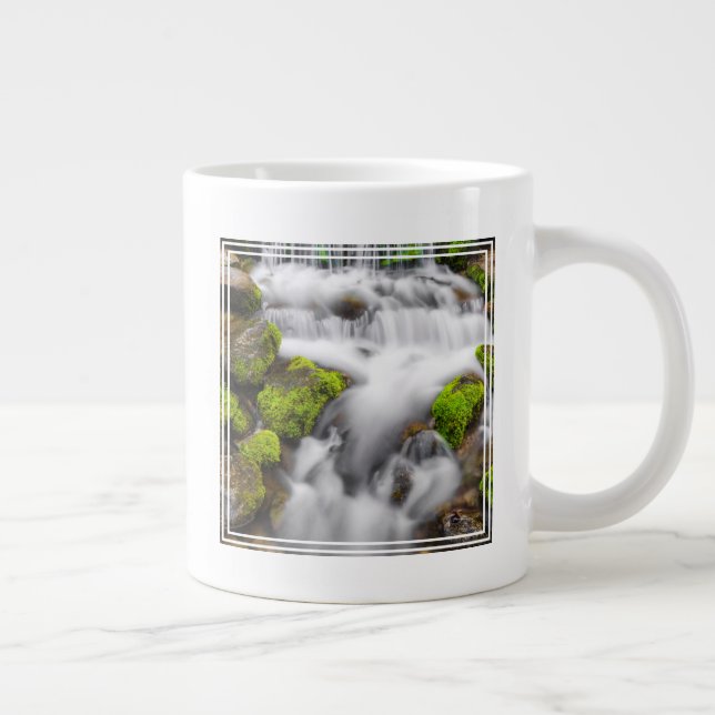Grande Tasse Mousse autour de la source de fougère (Droite)