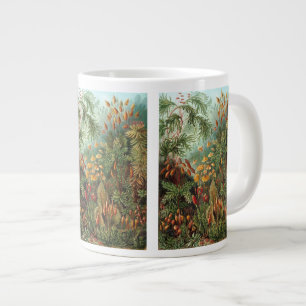 Grande Tasse Muscinae vintage, plantes de mousse par Ernst Haec